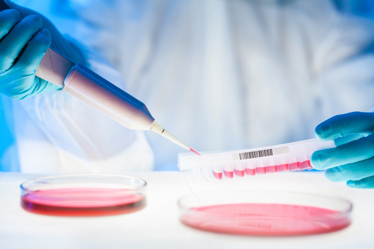 Pipette filling a row of sample tubes