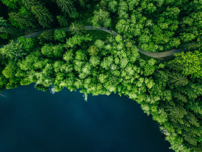 Forêt et eau vues d'en haut