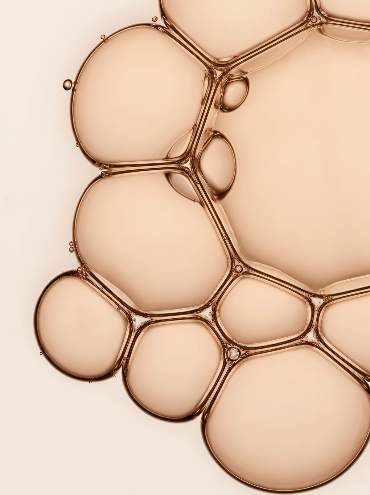 Cellules microbiennes au microscope