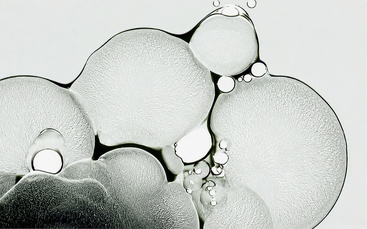 Clear cells and bubbles under the microscope